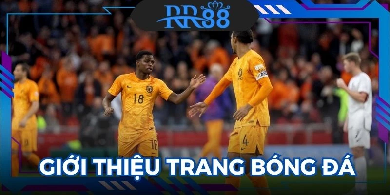 trang cá độ bóng đá uy tín